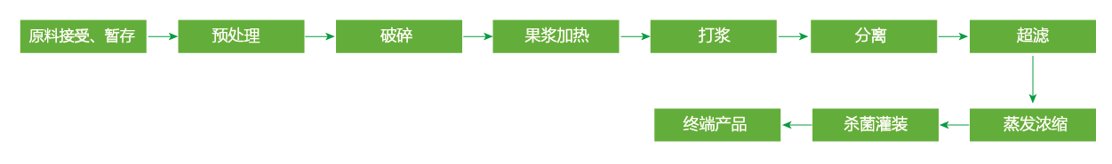 蓝莓、草莓、桑葚浓缩汁